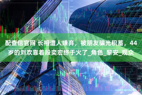 配查信官网 长相遭人嫌弃，被朋友骗光积蓄，44岁的刘欢靠着段奕宏终于火了_角色_黎安_观众