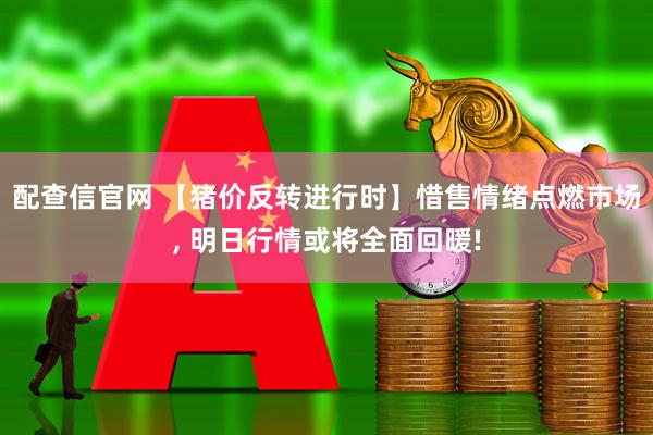 配查信官网 【猪价反转进行时】惜售情绪点燃市场, 明日行情或将全面回暖!