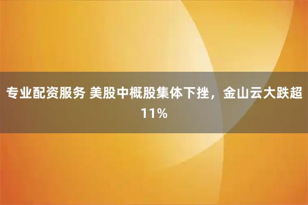 专业配资服务 美股中概股集体下挫，金山云大跌超11%