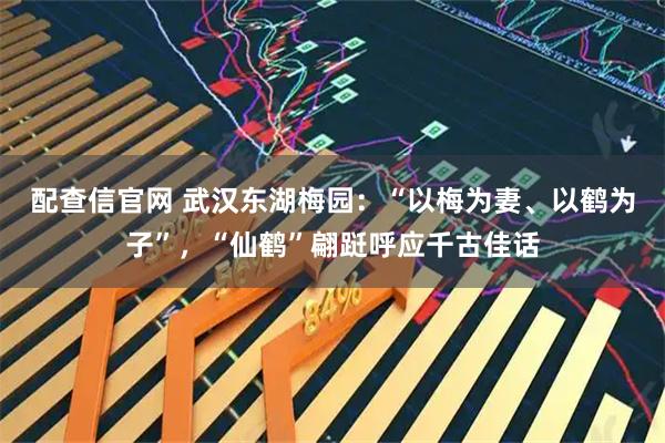 配查信官网 武汉东湖梅园：“以梅为妻、以鹤为子”，“仙鹤”翩跹呼应千古佳话